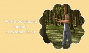 Workshop Qigong 31 oktober 2021